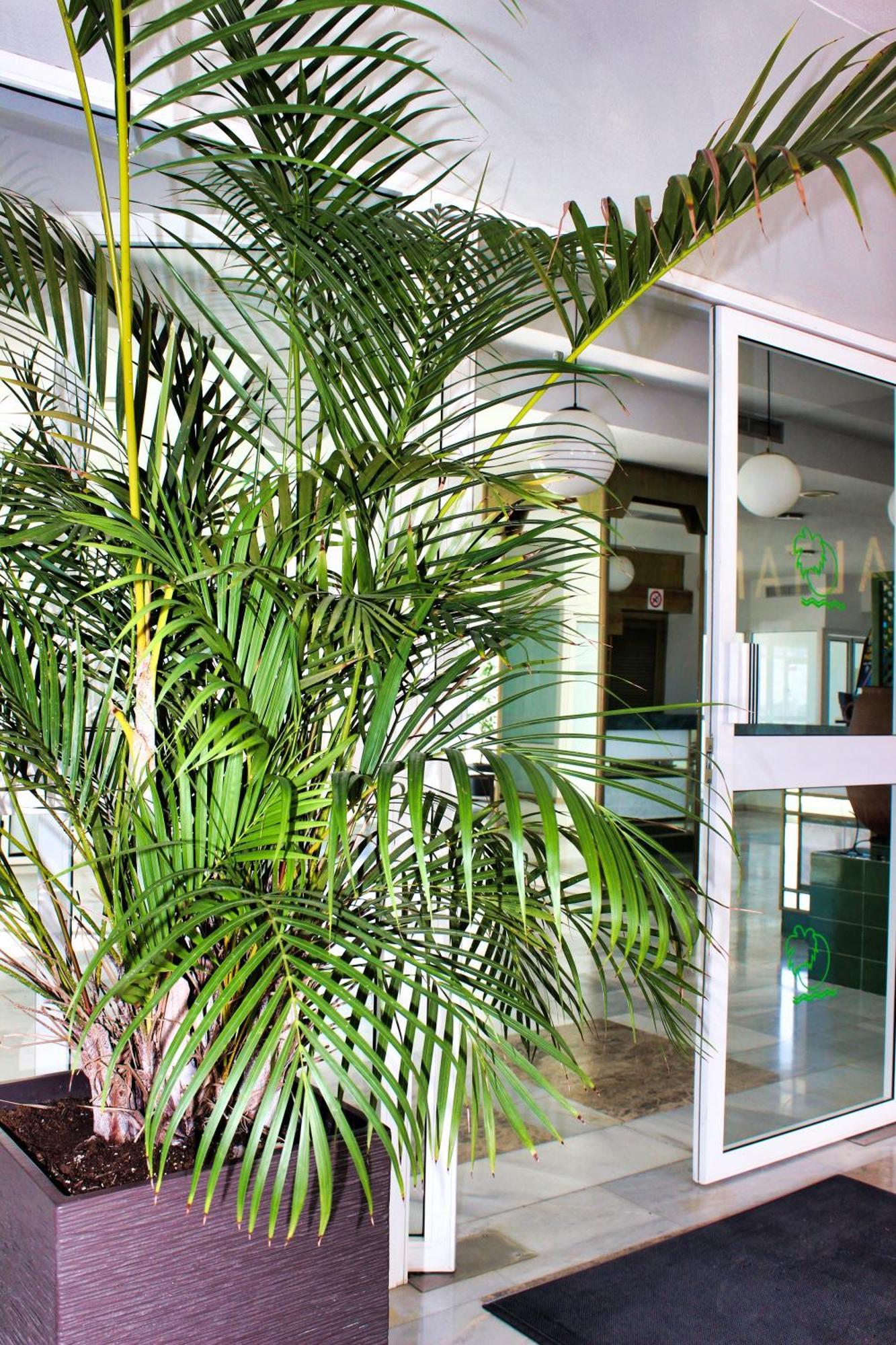 Altamira Sunset Apartment Costa Adeje  Exterior foto